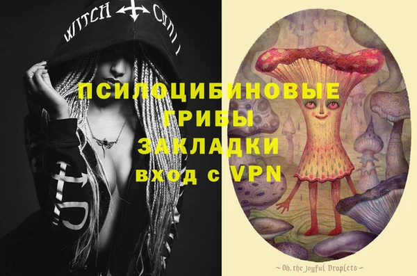 кокс Аркадак