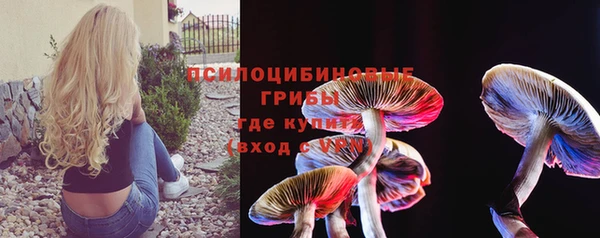 кокс Аркадак