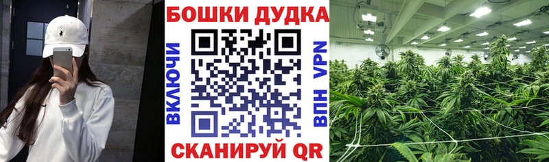 Купить закладки  Заинск  Конопля LSD WEED 